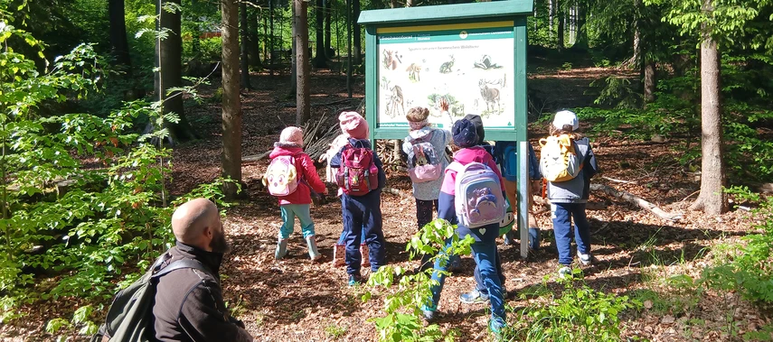 Gruppe von Kindern vor einer Infotafel im Wald