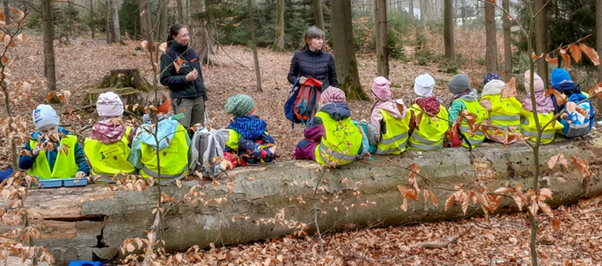 Kinder in Warnwesten sitzen auf einem im Wald liegenden Buchenstamm