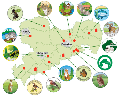 Übersichtskarte von Sachsen mit den Standorten der waldpädagogischen Einrichtungen.