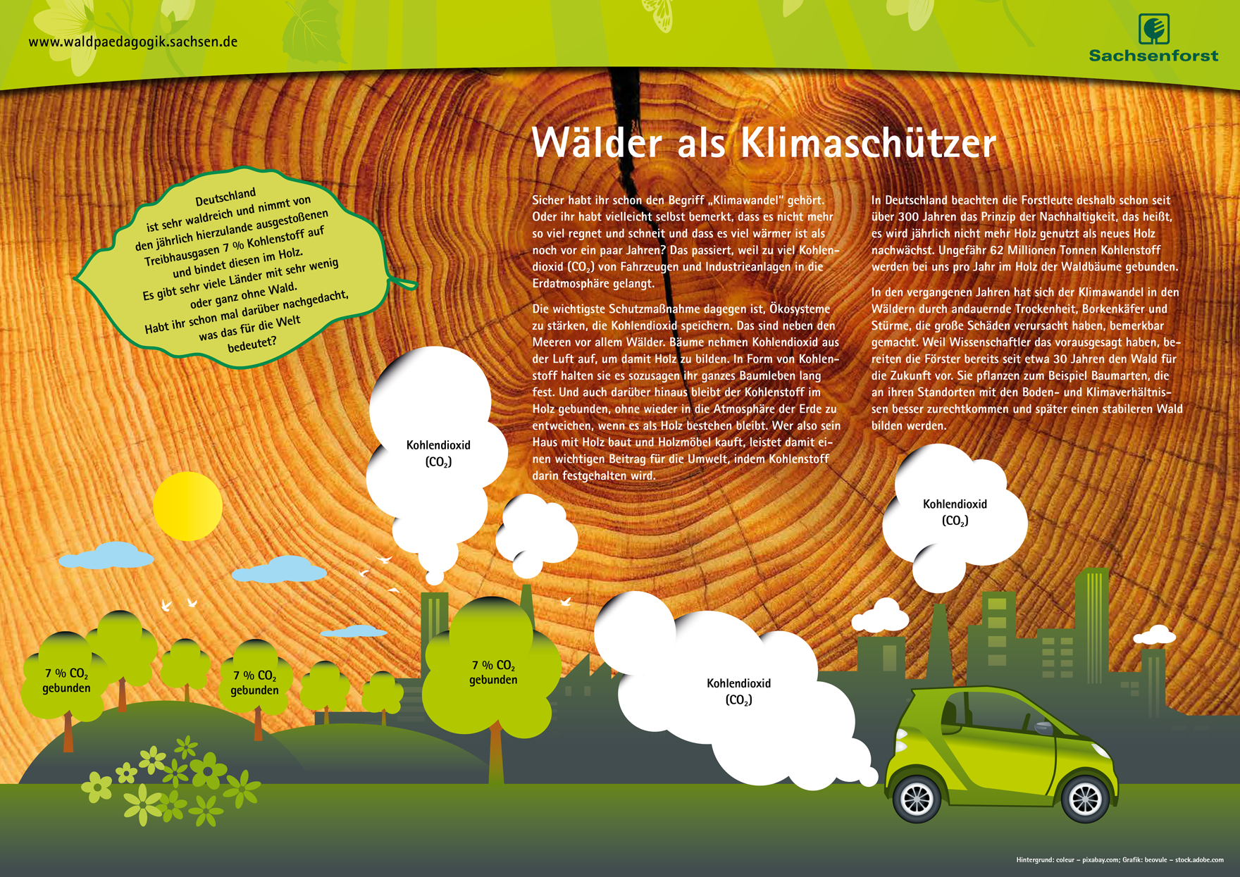 Grafik zum Thema Wald und Klimaschutz