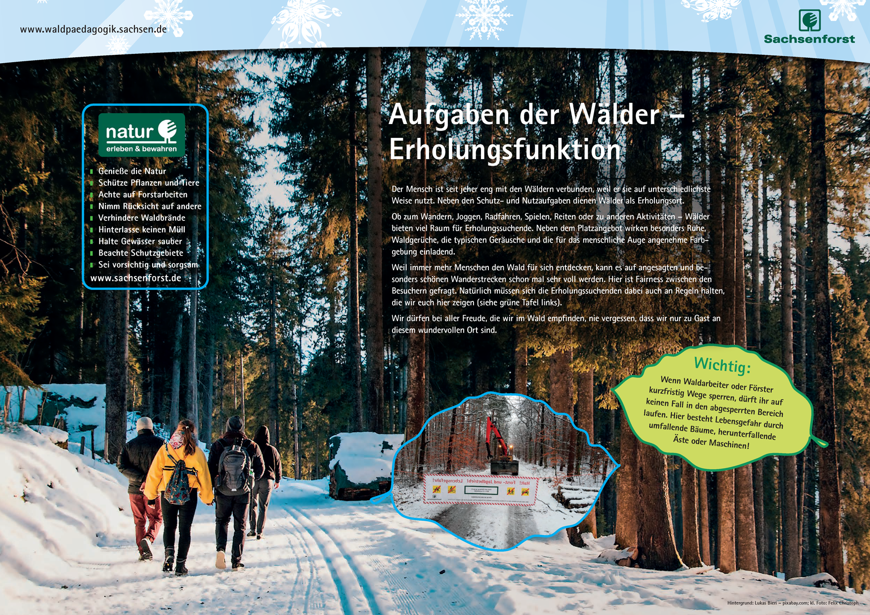 Grafik mit Infos zum Thema Erholung im Wald