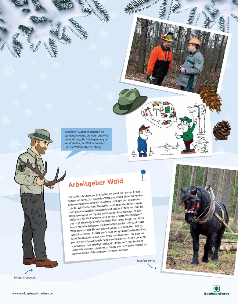Fotos und Grafiken zu den Aufgaben von Förstern und Waldarbeitern